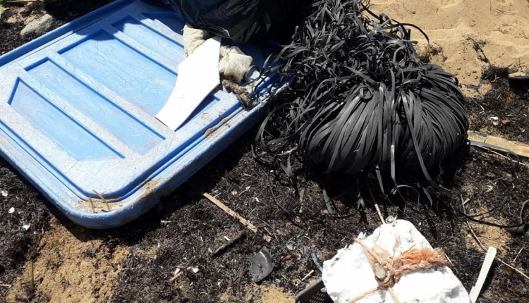 Local beach cleanups (2)