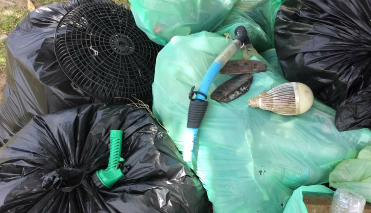 Local beach cleanups (3)