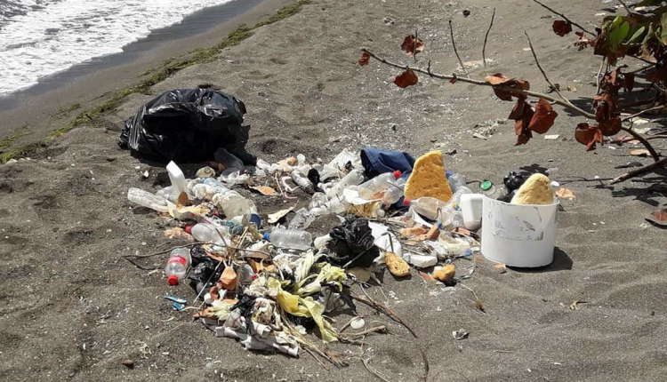 Local beach cleanups (4)
