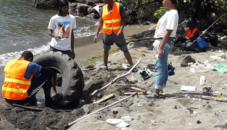 Local beach cleanups (5)