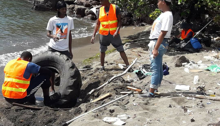 Local beach cleanups (6)