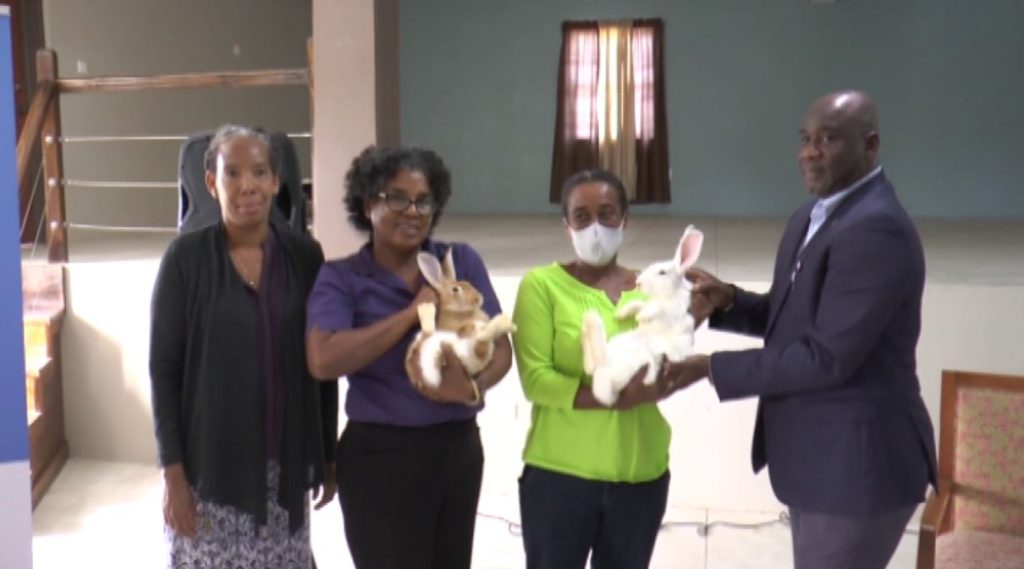 IICA Rabbit Rearing Project & Workshop Launched – ZIZ Broadcasting ...