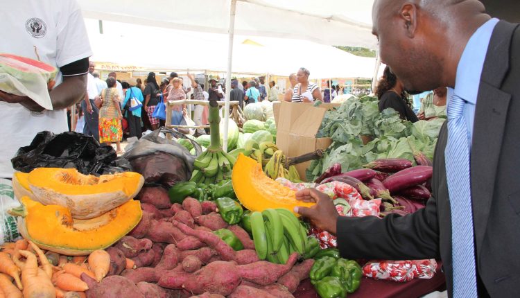 Hon. Alexis Jeffers, Minister of Agriculture in the Nevis Island Administration gets a closer look at local produce at a farmer’s booth at Agriculture Open Day (file photo)