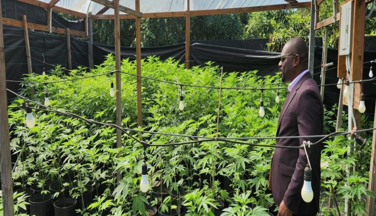 Hon. Samal Duggins at UWI, Jamaica pic 1