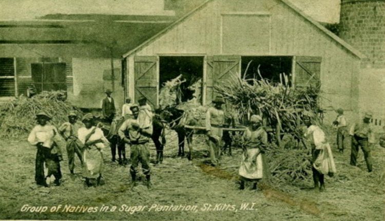 PLANTATION WORKERS