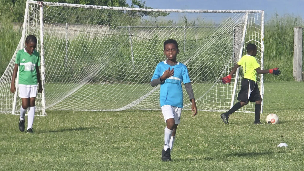 Saddlers and St. Pauls Lead Zones