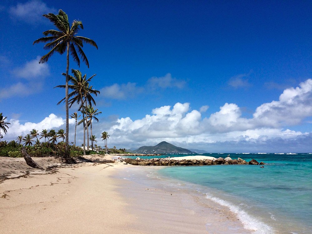 Man Dies After Drowning at Herbert Beach