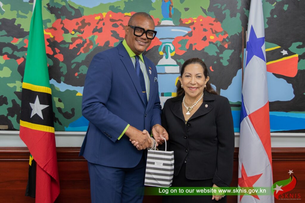 Panama Ambassador Presents Credentials to Government