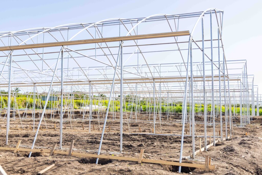 Government Advances Major National Development Projects