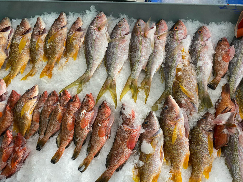 Fishing Industry Highest Revenue in a Decade