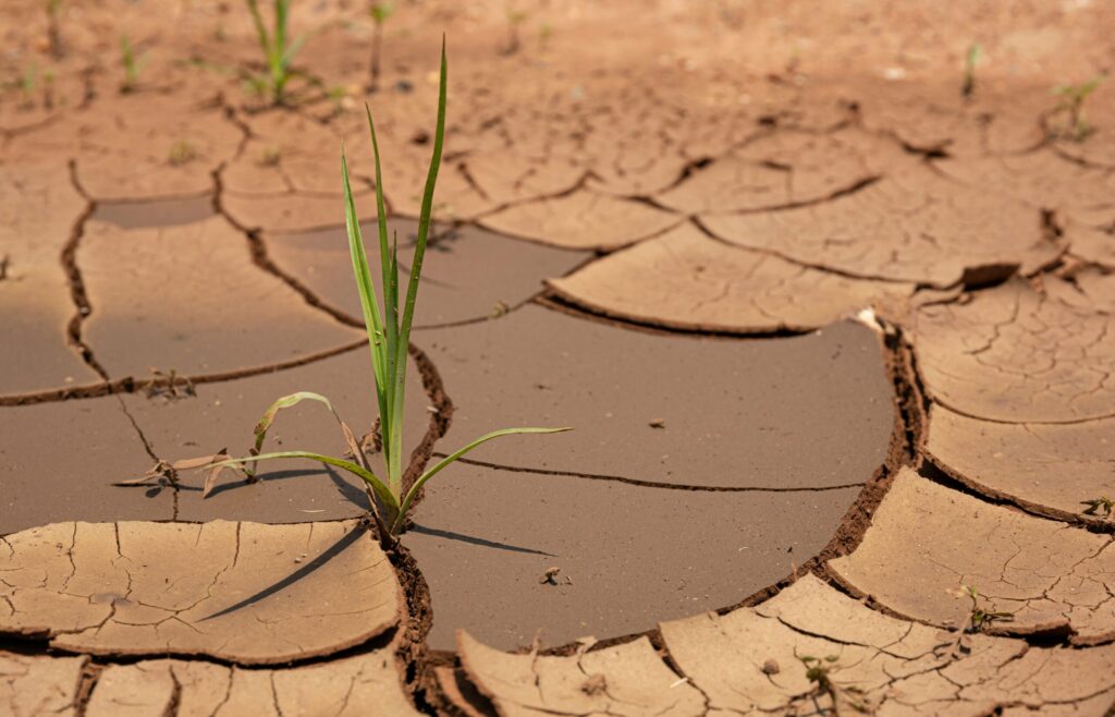 St. Kitts-Nevis Under Drought Warning Amid Low Rainfall